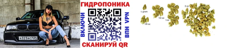 Каннабис OG Kush Правдинск